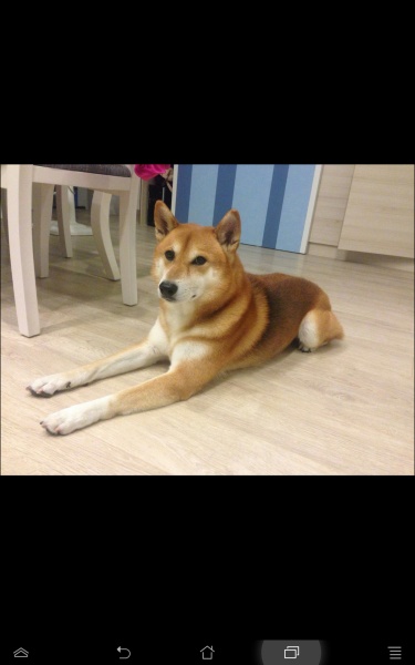 檔案:Screenshot 2014-09-28-20-30-30.jpg