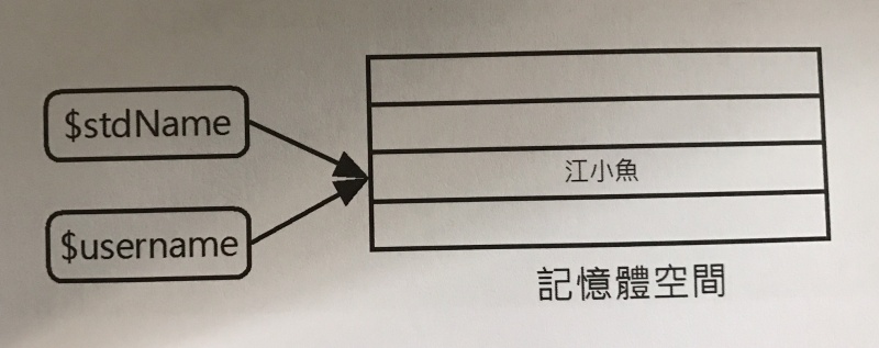 檔案:參考變數.jpg