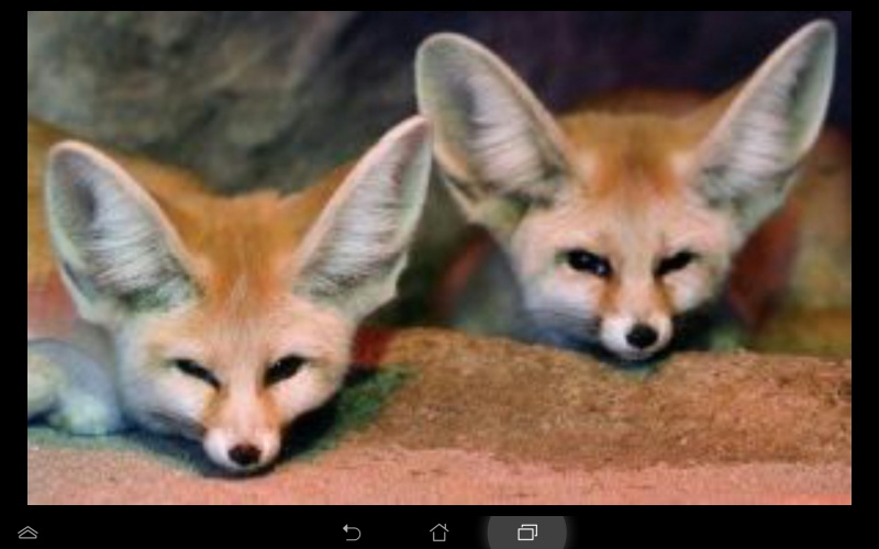 檔案:Screenshot 2014-09-15-17-28-23.jpg