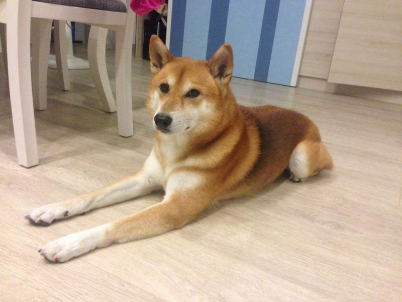 檔案:Received 10203651018144002.jpeg