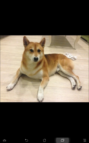 檔案:Screenshot 2014-09-28-20-30-19.jpg