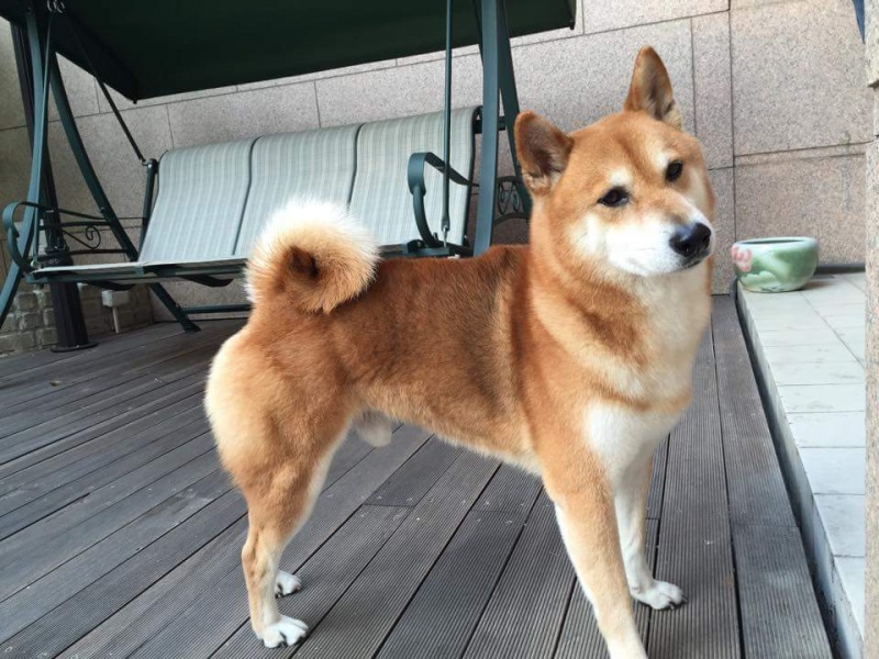 檔案:Received 10203651009423784.jpeg